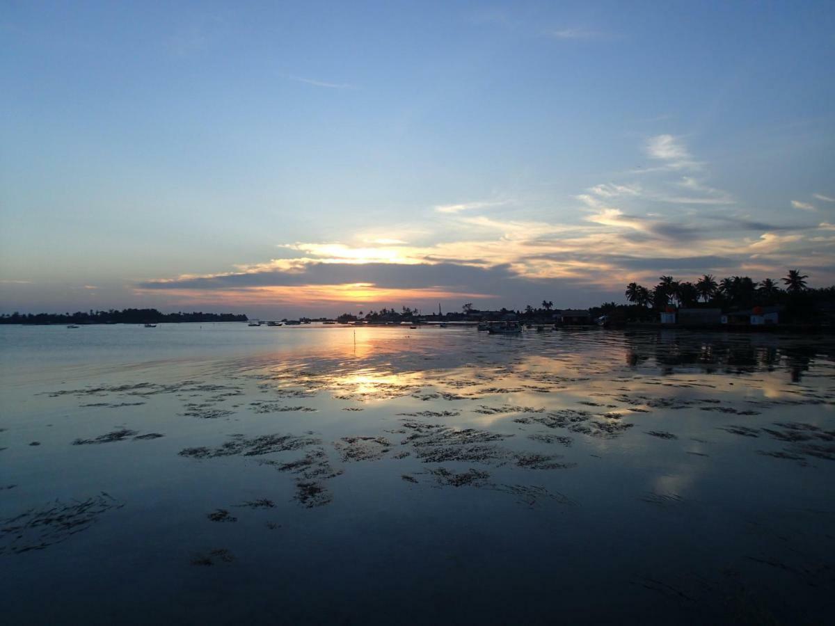 Blue Coral Homestay Karimunjawa Eksteriør billede