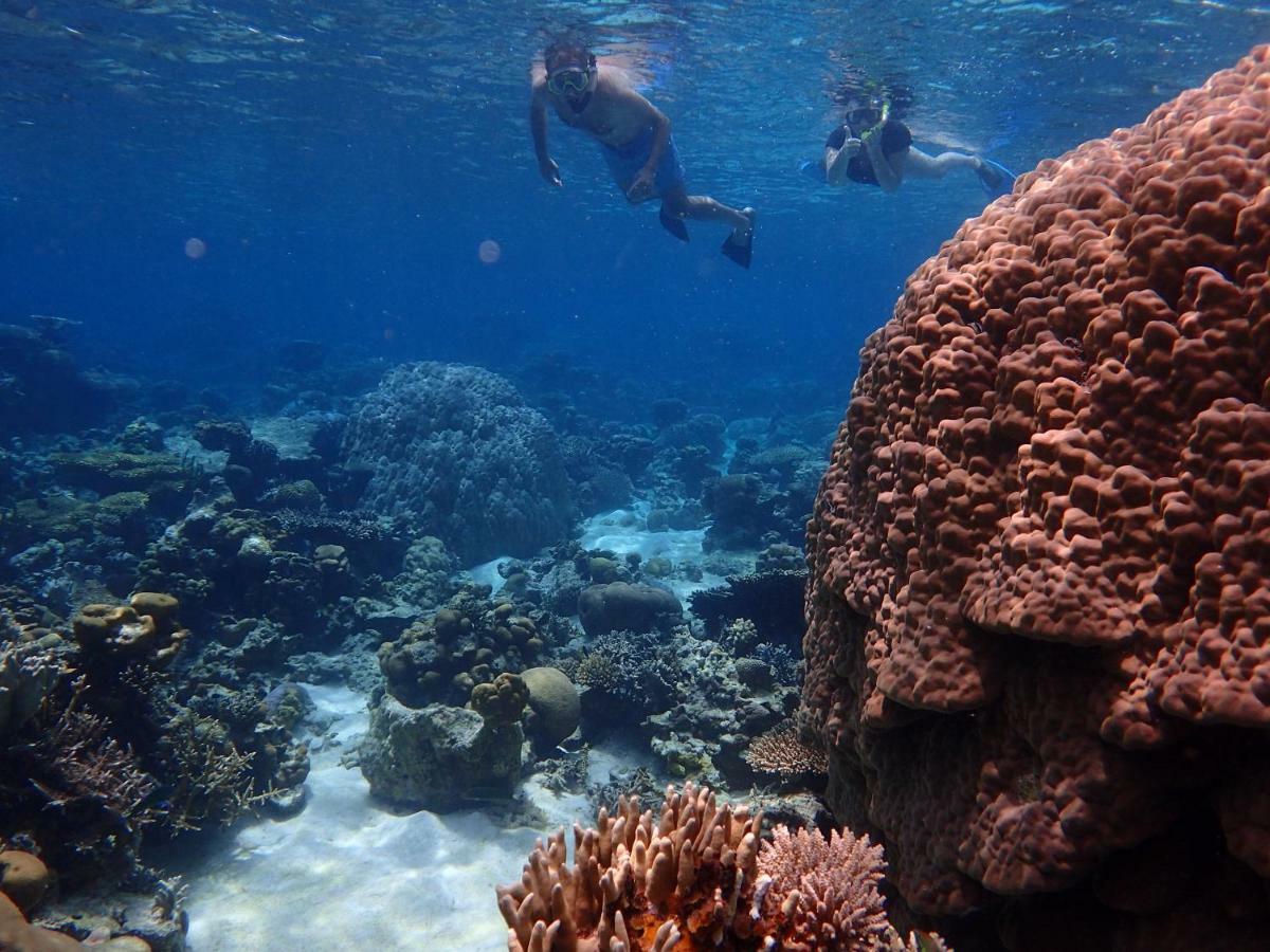 Blue Coral Homestay Karimunjawa Eksteriør billede