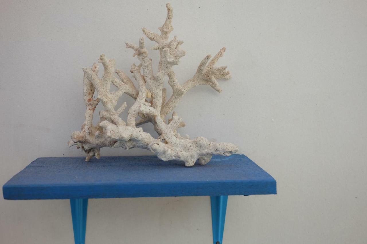 Blue Coral Homestay Karimunjawa Eksteriør billede