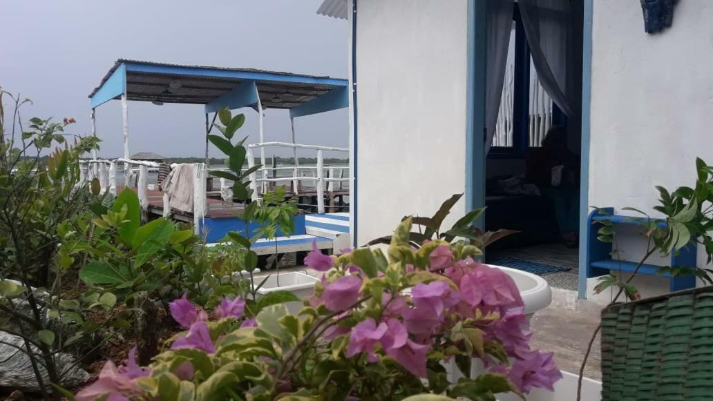 Blue Coral Homestay Karimunjawa Eksteriør billede